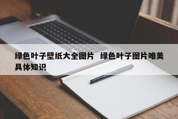 绿色叶子壁纸大全图片  绿色叶子图片唯美具体知识