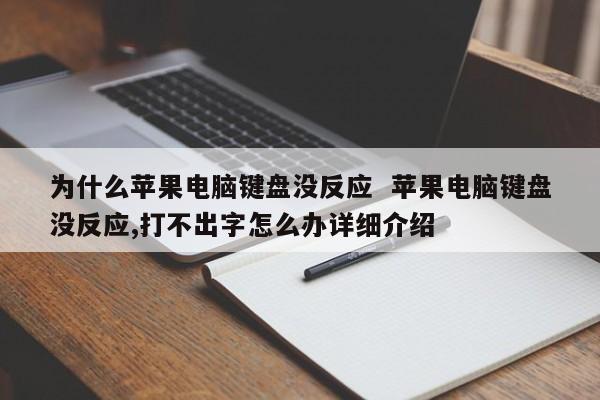 为什么苹果电脑键盘没反应  苹果电脑键盘没反应,打不出字怎么办详细介绍