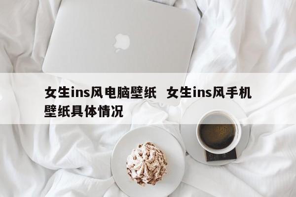 女生ins风电脑壁纸  女生ins风手机壁纸具体情况