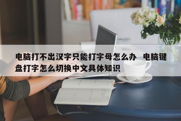 电脑打不出汉字只能打字母怎么办  电脑键盘打字怎么切换中文具体知识